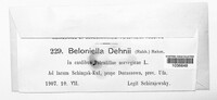 Image Associated With the Occurence